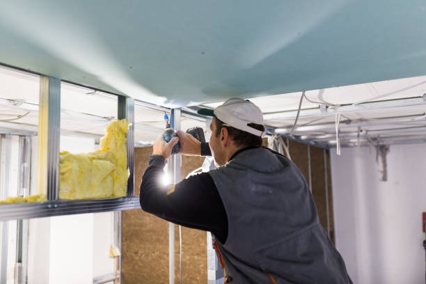 Best Specialized Insulation Services in Hampton, VA