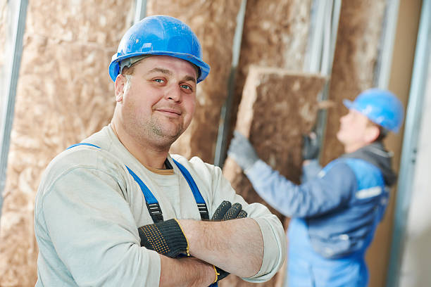 Best Cellulose Insulation in Hampton, VA