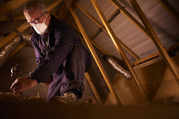Best Energy Efficiency Insulation in Hampton, VA